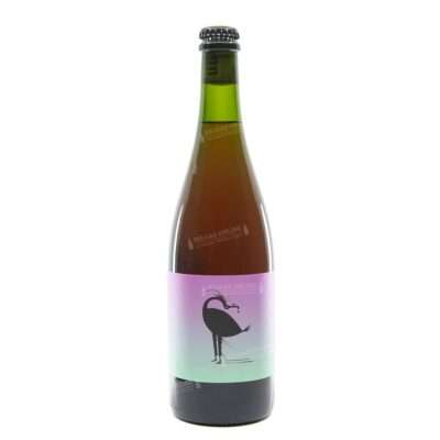 Braam & Branches DUST Blending Lambic Fruit belga con mora ramas de casis y flor de sauco