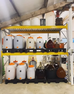 Fermentadores de Pellicle Vergistingen