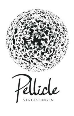 Pellicle Vergistingen, nano cervecería y blendery belga de lambic, sidra y vino en Zedelgem.